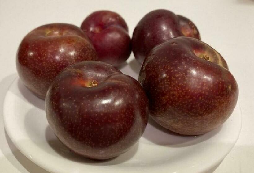 פנסיון Guest House Amami Long Beach 2 Vacation Stay 64461v