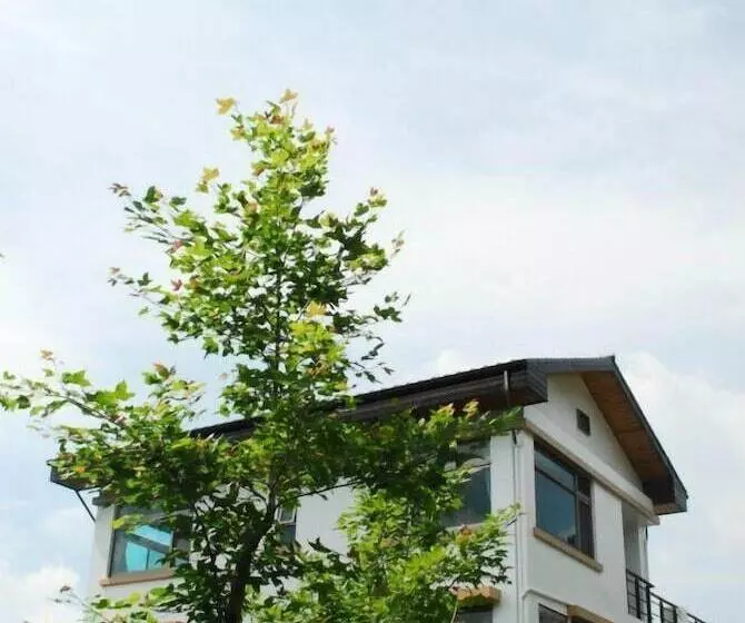 هتل Old Five Guesthouse