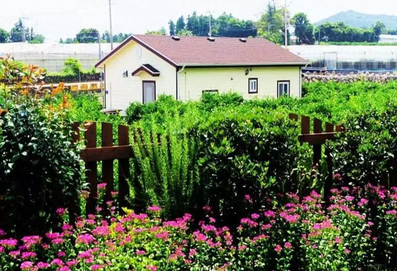 ホテル Seoguipo Lucky Clover Pension