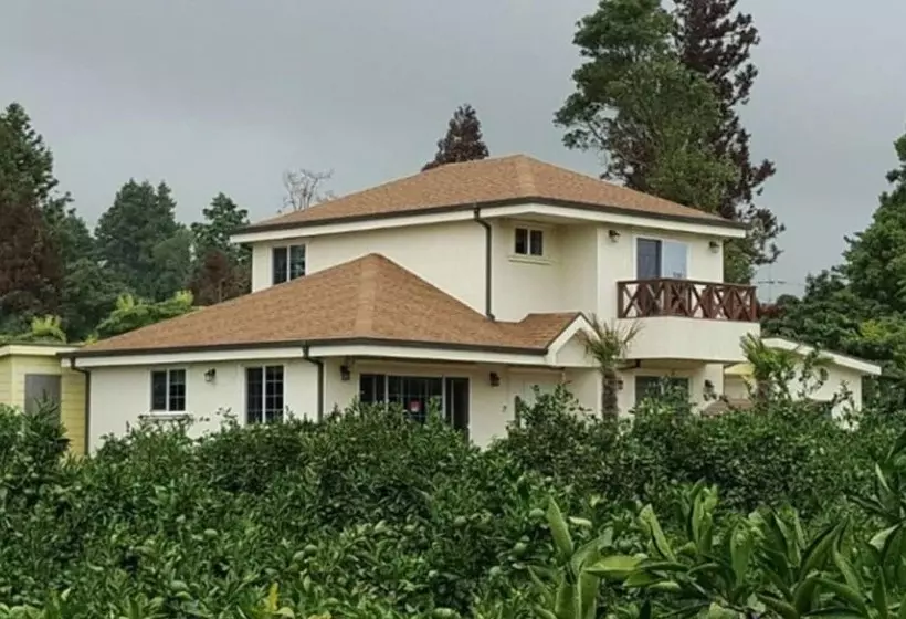 ホテル Seogwipo Mk House Pension