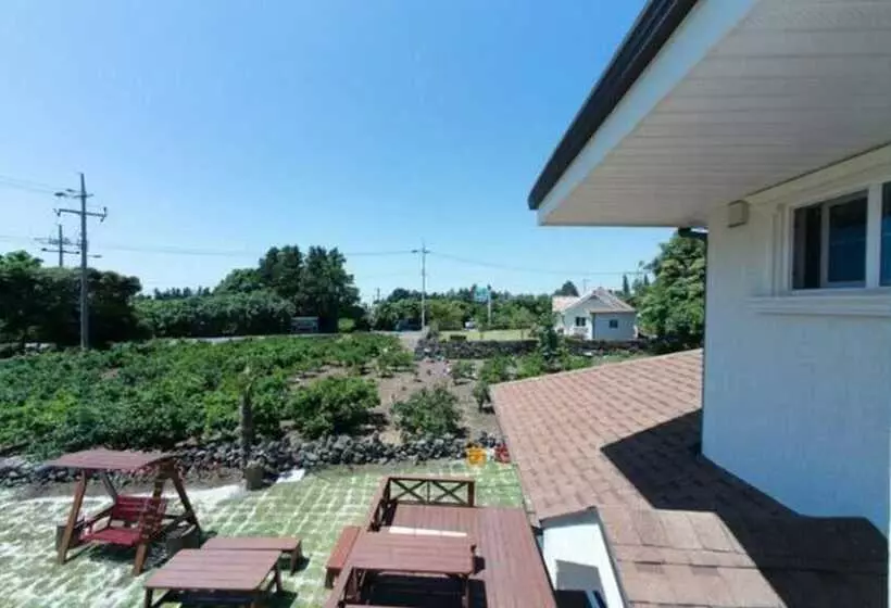 ホテル Seogwipo Mk House Pension