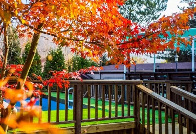 هتل Yangpyeong Dajian Forest Hill Pension