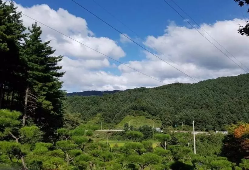 هتل Yangpyeong Dajian Forest Hill Pension