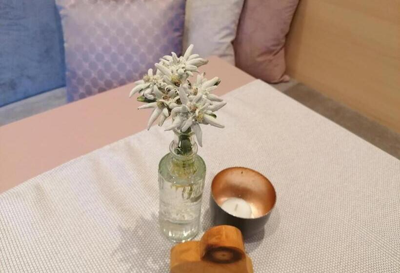 پانسیون Haus Marion Haueis