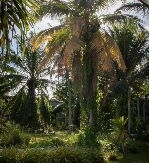 Пансион Koko De Rasta Coffee Lazy House