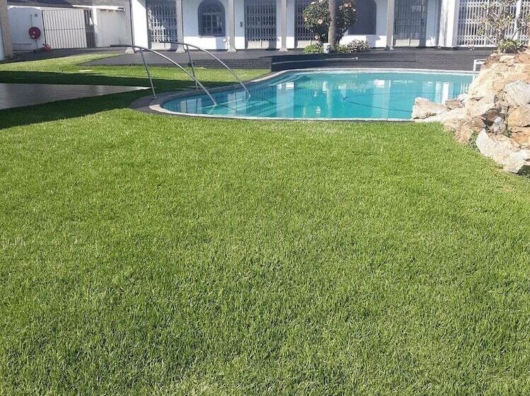 Отель Alicats Place Executive Lodge & Conference