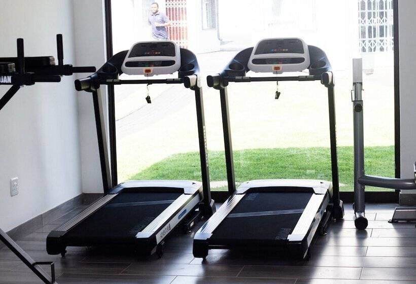 Отель Alicats Place Executive Lodge & Conference