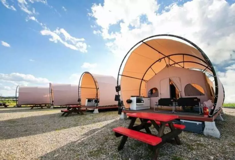Hotelli Gangneung Basecamp Pension