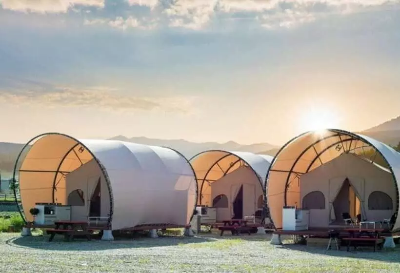 Hotelli Gangneung Basecamp Pension
