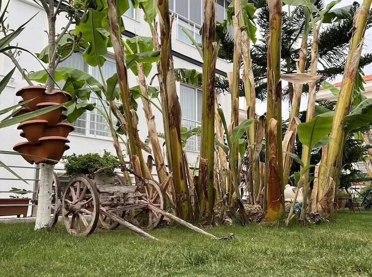 Hotelli Luna Alacati