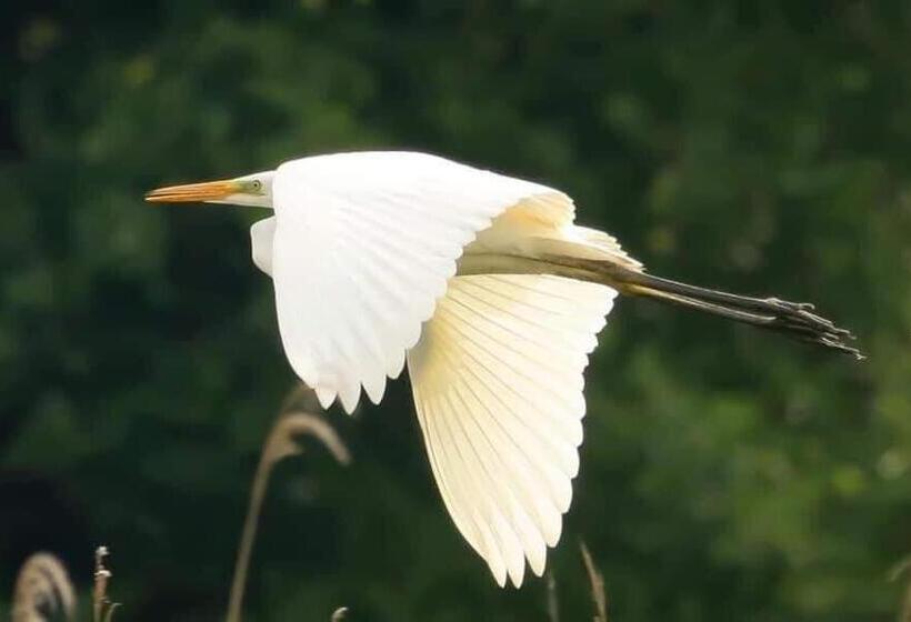 Hostel Gościniec Biebrzański