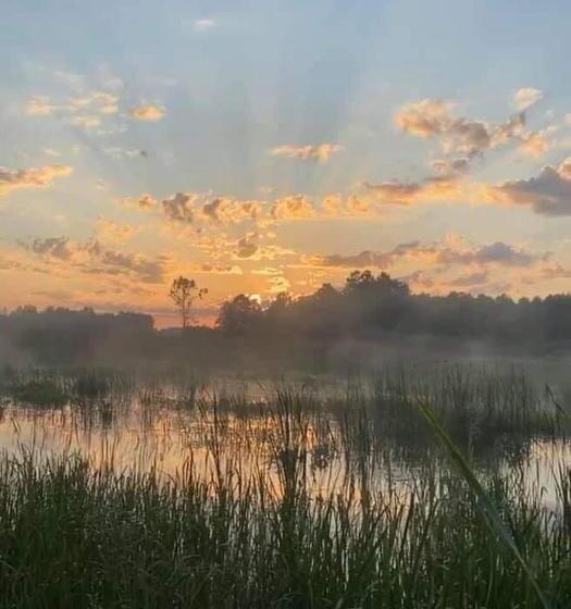 Hostel Gościniec Biebrzański