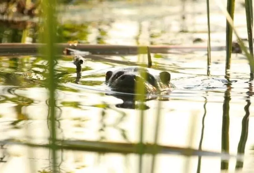 ユースホステル Gościniec Biebrzański