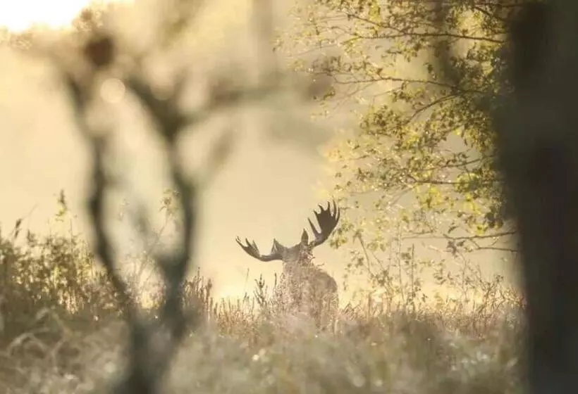 ユースホステル Gościniec Biebrzański