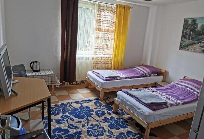 Общежитие Colibri