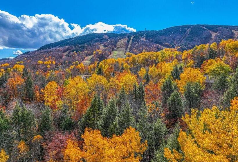 בית מלון כפרי Fall Line W212