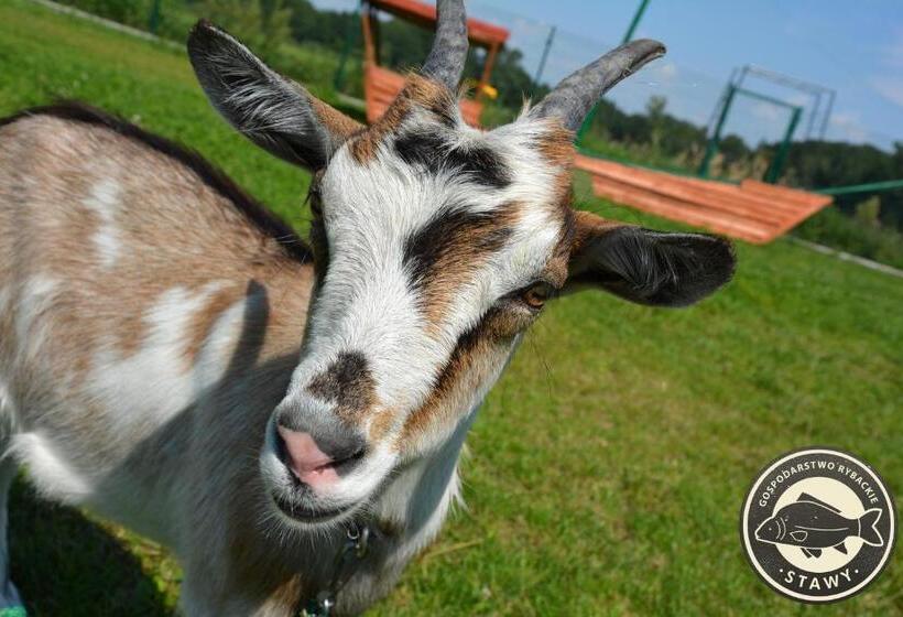 호텔 Gospodarstwo Rybackie Stawy