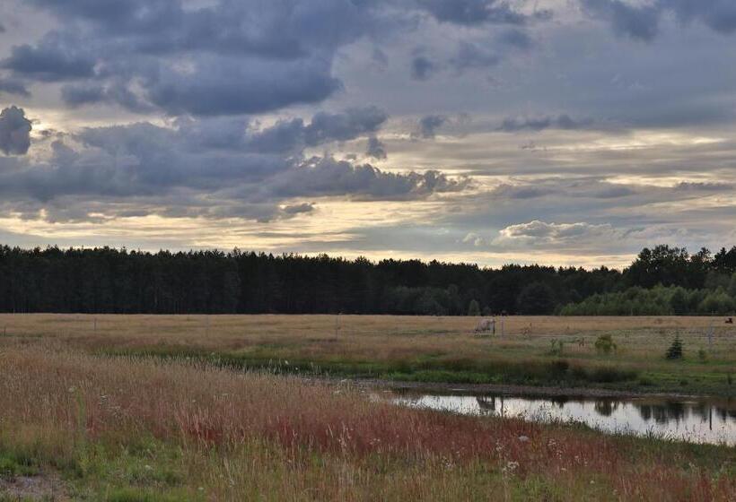 Отель Mimi Boutique Farm Stay & Cuisine