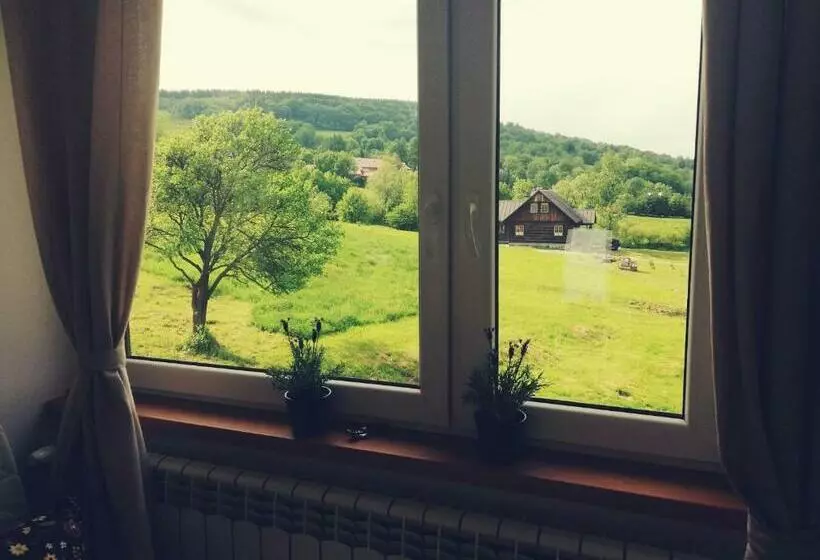 Hotelli Pokoje Goscinne U Olguni