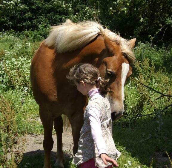 בית מלון כפרי Studniska Horse Centrum