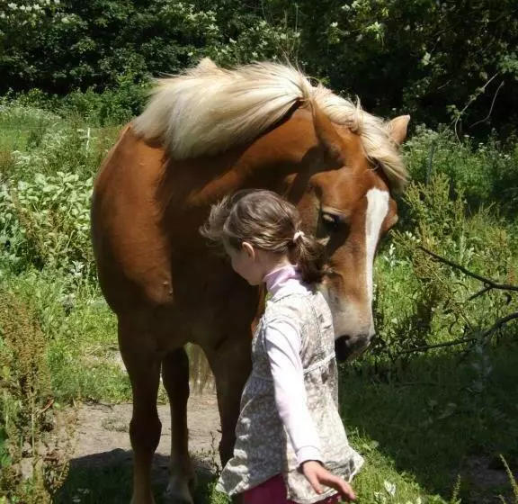 ホテル Studniska Horse Centrum