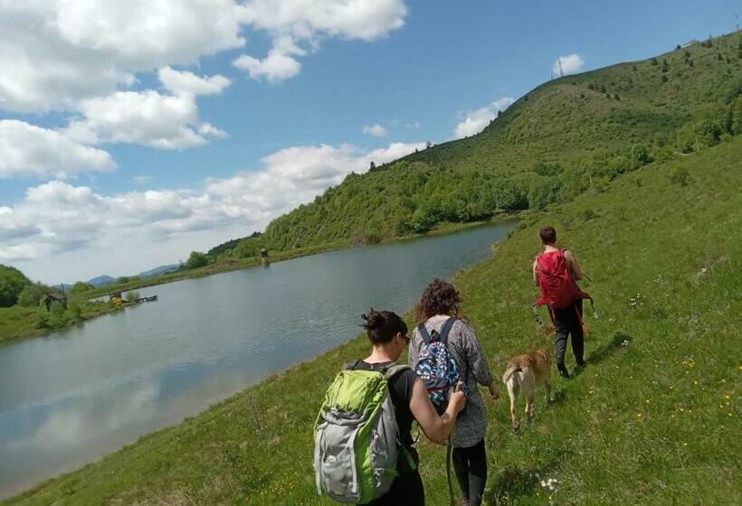 פנסיון Room In Guest Room   Cozy Holiday Room Near Forest