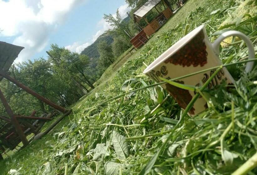 פנסיון Room In Guest Room   Cozy Holiday Room Near Forest