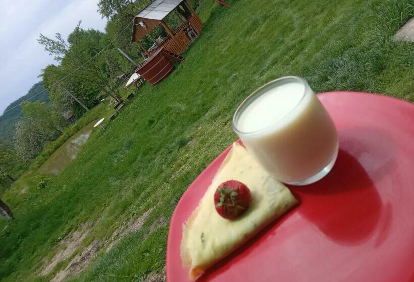 פנסיון Room In Guest Room   Cozy Holiday Room Near Forest