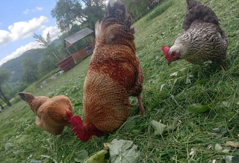 פנסיון Room In Guest Room   Cozy Holiday Room Near Forest