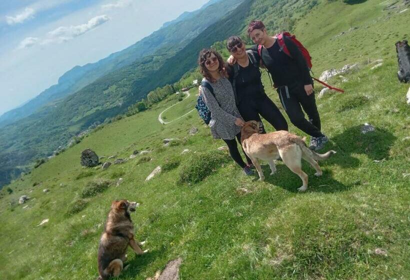 פנסיון Room In Guest Room   Cozy Holiday Room Near Forest