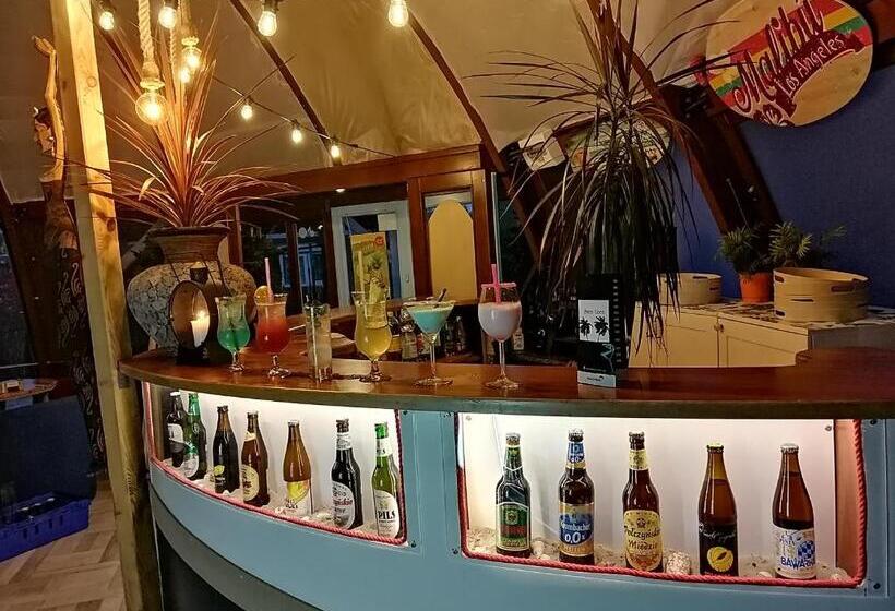 פנסיון Willa Opal