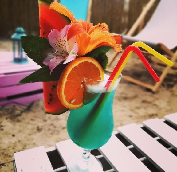 פנסיון Willa Opal