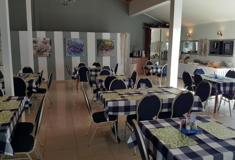 פנסיון Willa Opal