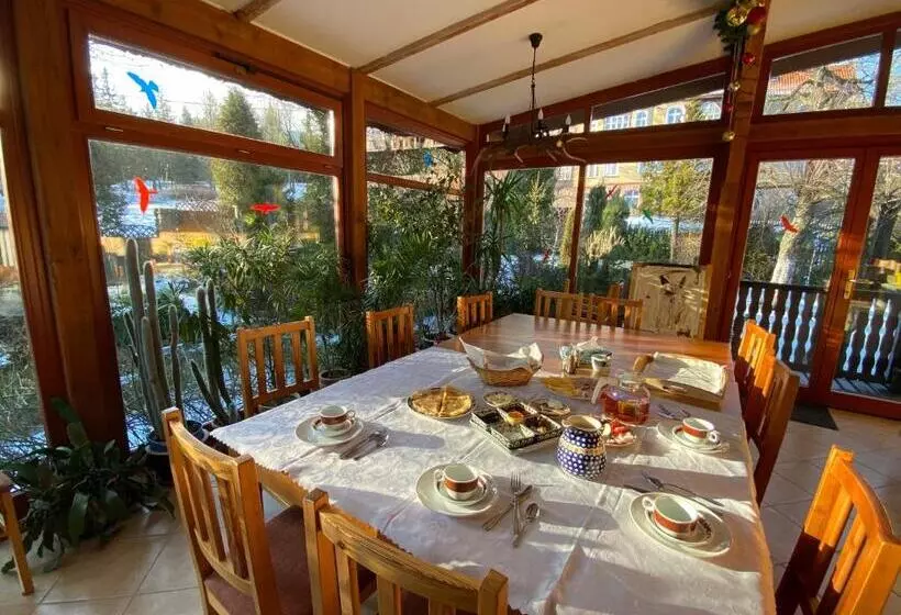 Aamiaismajoitus (B&B) Pensjonat Merkury