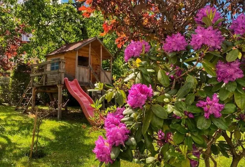 Aamiaismajoitus (B&B) Pensjonat Merkury