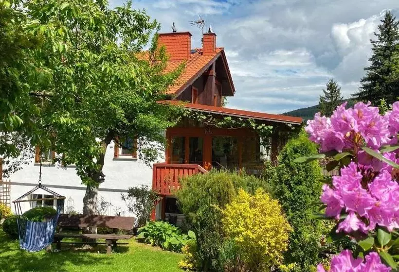 Aamiaismajoitus (B&B) Pensjonat Merkury