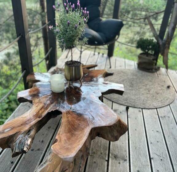 Bed and Breakfast My Tree Home Warszawa, Macierowe Bagno