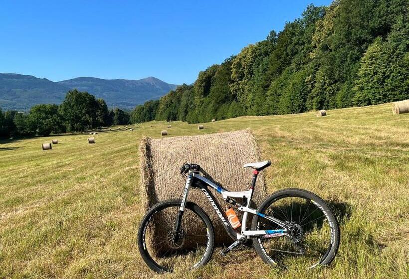 בית מלון כפרי Margo Bukowiec Koło Karpacza