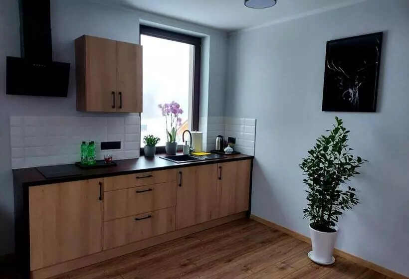 Hotelli Pensjonat I Restauracja Hubertówka