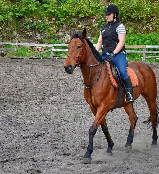Majatalo Folwark Książęcy