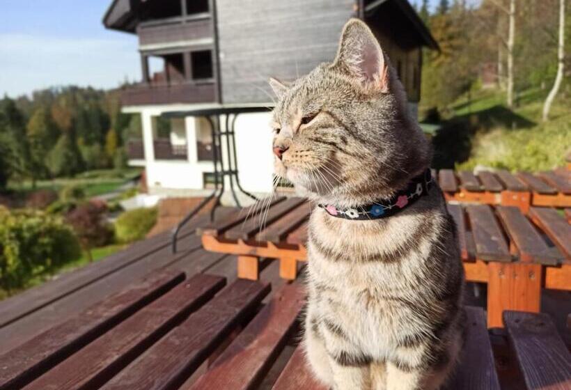 Pensão Wiślany Raj