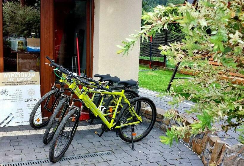 펜션 Willa Chwost  Pokoje Apartamenty W Pobliżu Zakopanego