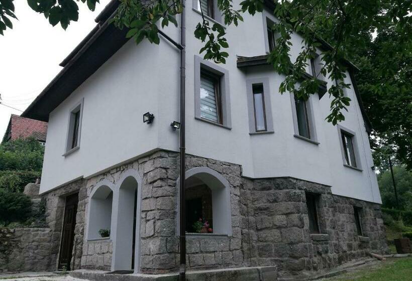 ペンション Willa Sielsko Anielsko