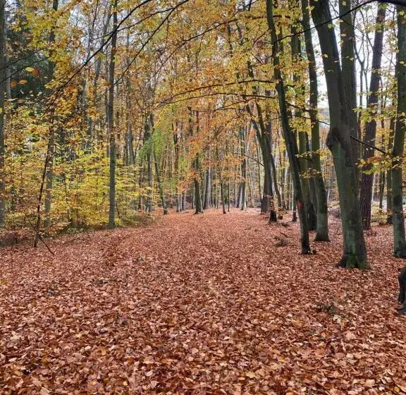 Apartament Jantarowe Zacisze Green