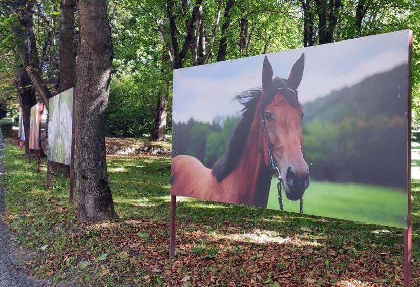 Bed and Breakfast Pokoje Gościnne Pałac W Balicach Instytut Zootechniki Pib