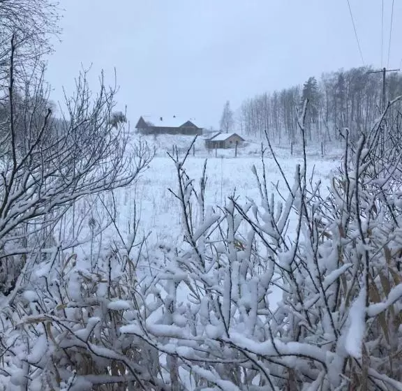 Aamiaismajoitus (B&B) żurawi Jar