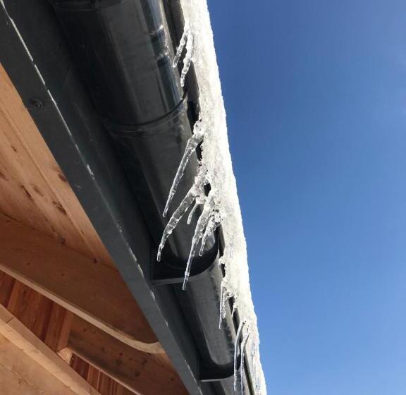 צימר żurawi Jar