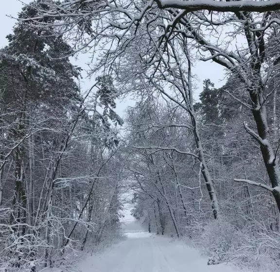 Aamiaismajoitus (B&B) żurawi Jar