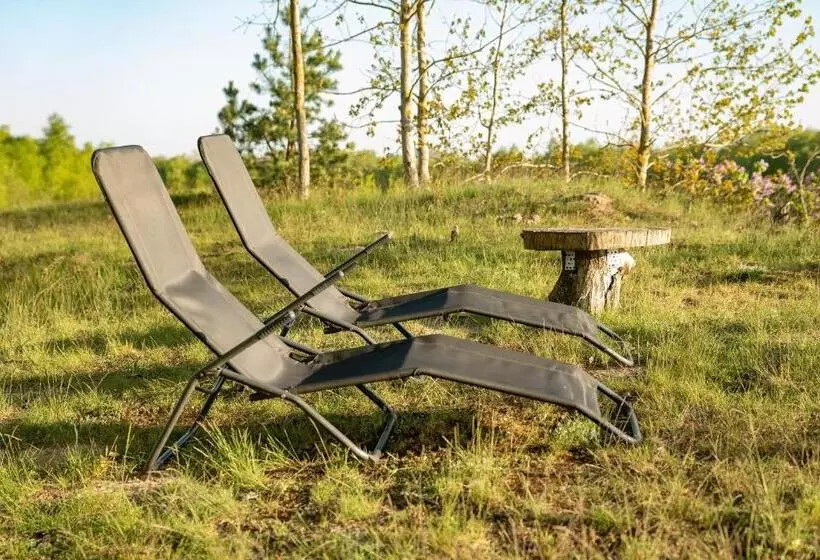 Aamiaismajoitus (B&B) żurawi Jar