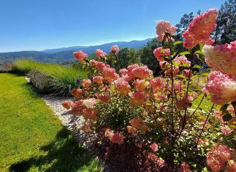 ベッドアンドブレックファースト Uroczysko Starych Sztolni